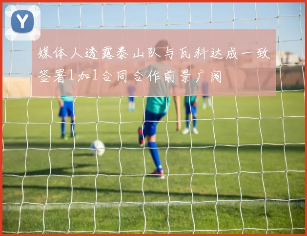 媒体人透露泰山队与瓦科达成一致签署1加1合同合作前景广阔