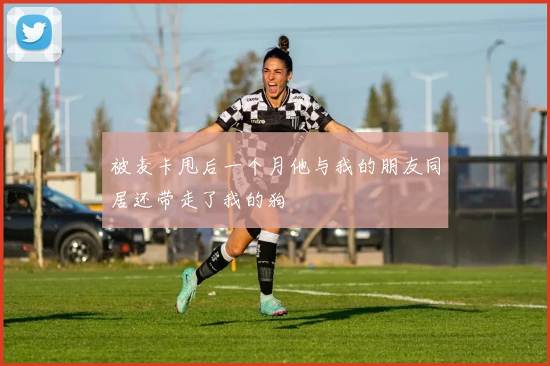 被麦卡甩后一个月他与我的朋友同居还带走了我的狗