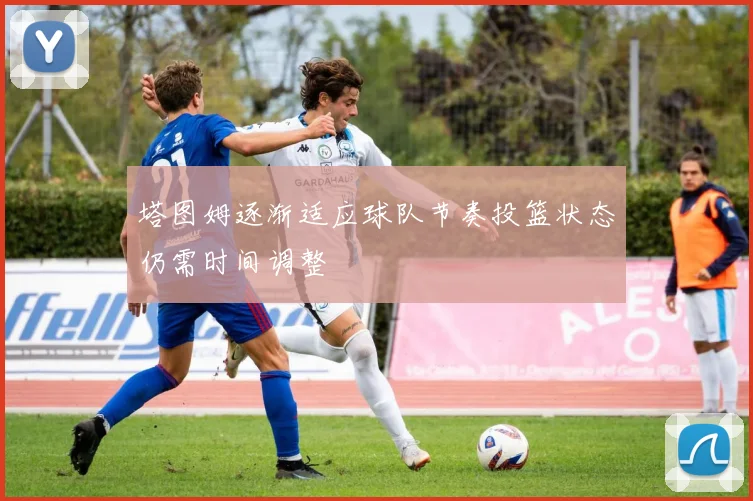 塔图姆逐渐适应球队节奏投篮状态仍需时间调整