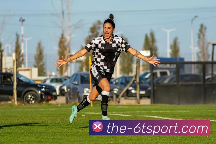 6T体育平台生态图